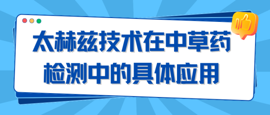 太赫兹服务