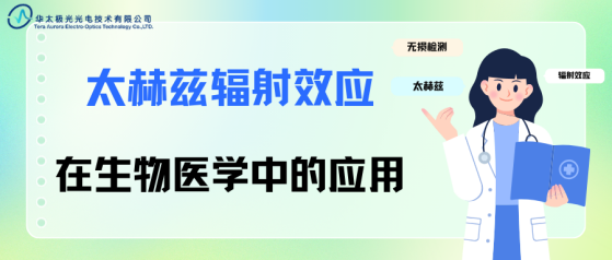太赫兹服务